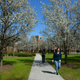 Illustration for article titled College: Protecting Students From Rape Is Not Our Responsibility